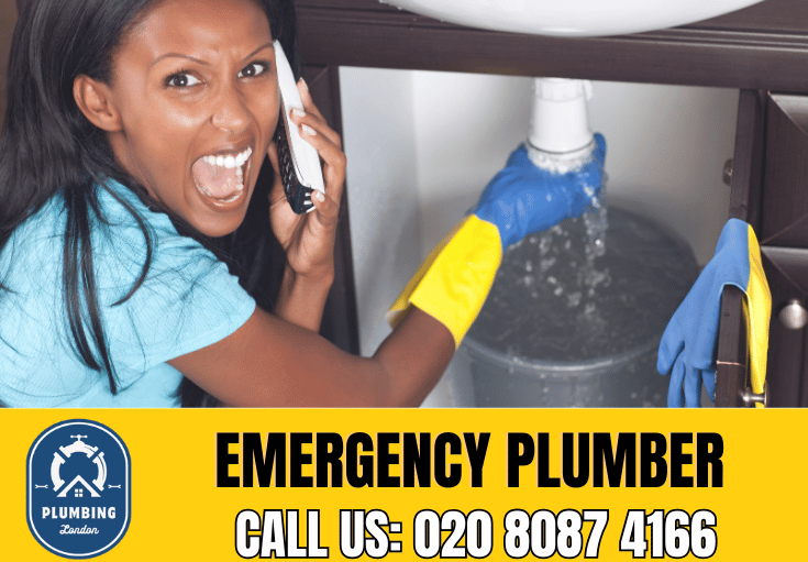 emergency plumber Soho